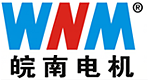 皖南電機 皖南電機