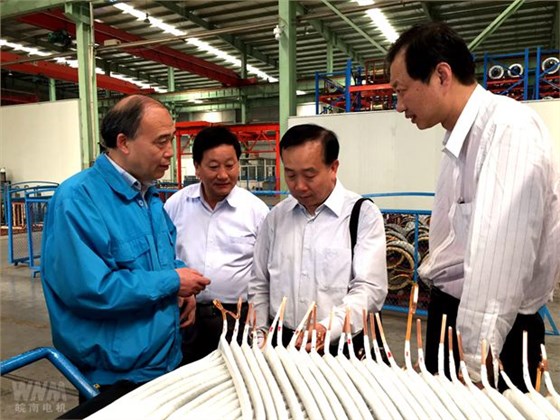 全國總工會領導來皖南電機調研 全國總工會領導來皖南電機調研