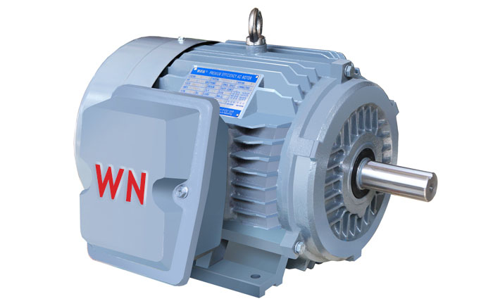 NE系列高效高轉(zhuǎn)矩三相異步電動機 NE系列高效高轉(zhuǎn)矩三相異步電動機
