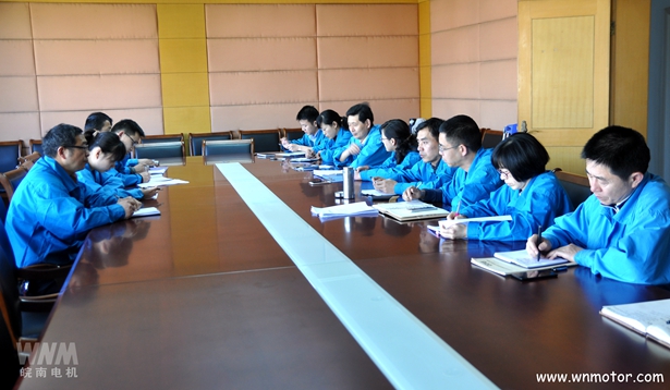 皖南電機 皖南電機