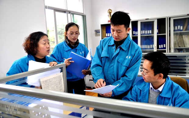 皖南電機內審人員在部門審核 皖南電機內審人員在部門審核