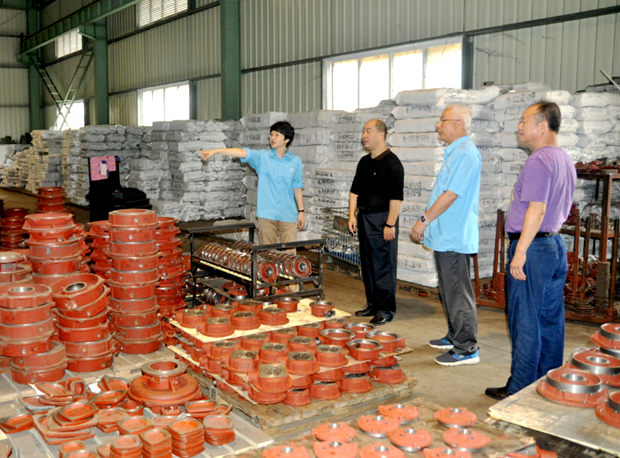 皖南電機副總經理陳蕾正在向縣衛健委同志介紹公司的防汛消殺工作