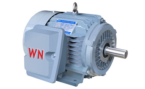 NE系列高效高轉(zhuǎn)矩三相異步電動機 NE系列高效高轉(zhuǎn)矩三相異步電動機