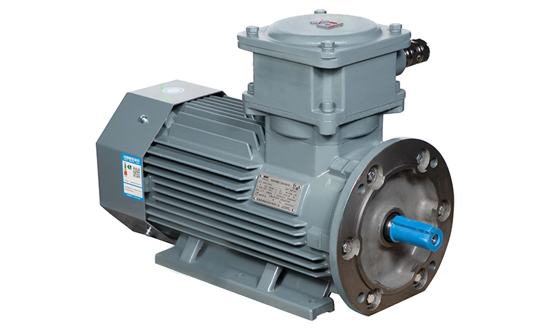 YBX5系列隔爆型三相異步電動機(jī) YBX5系列隔爆型三相異步電動機(jī)